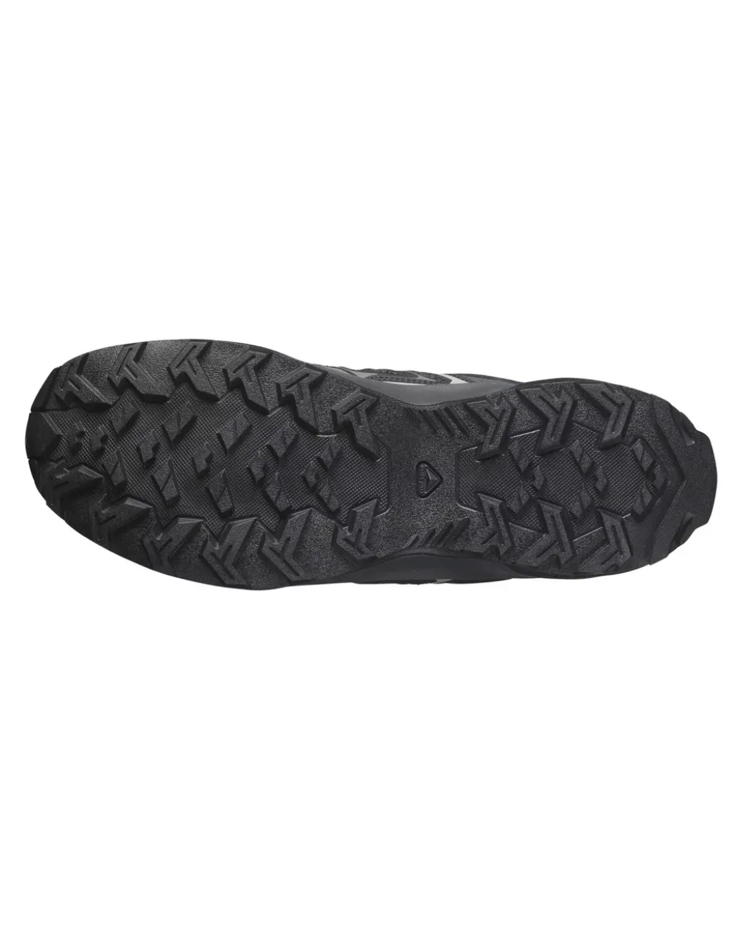 Buty trekkingowe męskie Salomon Extegra GTX