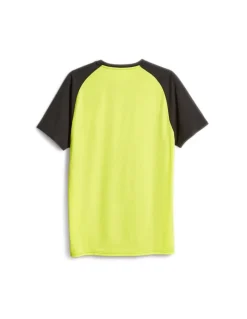 Koszulka męska Puma Fit Triblend Ultrabreathe